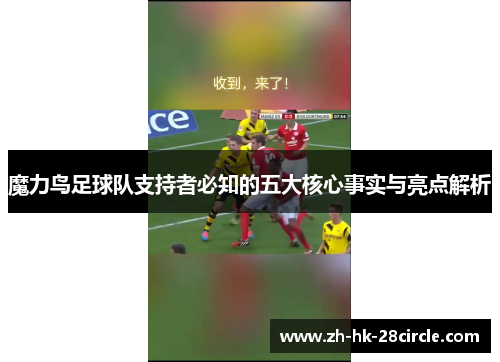 魔力鸟足球队支持者必知的五大核心事实与亮点解析 魔力鸟足球队支持者必知的五大核心事实与亮点解析