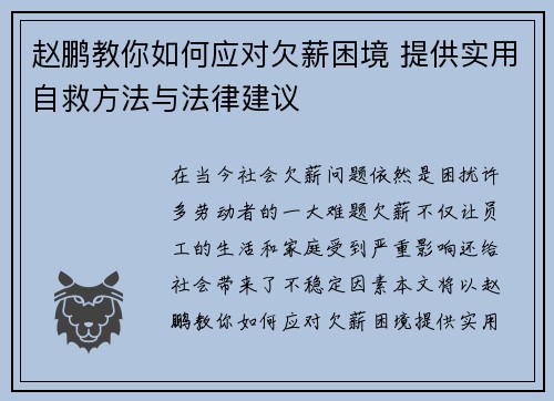 赵鹏教你如何应对欠薪困境 提供实用自救方法与法律建议 赵鹏教你如何应对欠薪困境 提供实用自救方法与法律建议