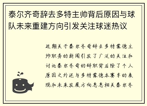 泰尔齐奇辞去多特主帅背后原因与球队未来重建方向引发关注球迷热议